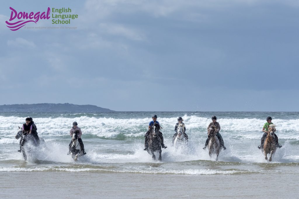 English and Horse Riding camp for teenagers Ireland