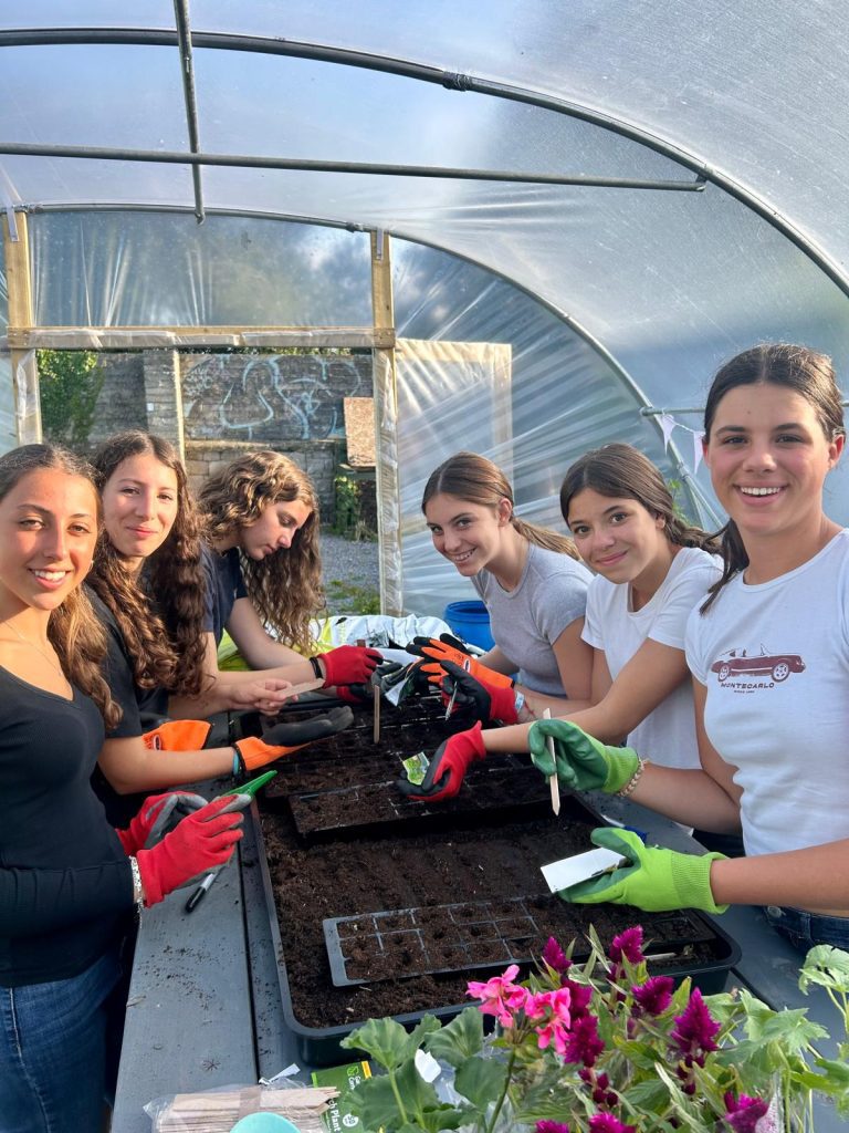 Gardening workshop on Donegal